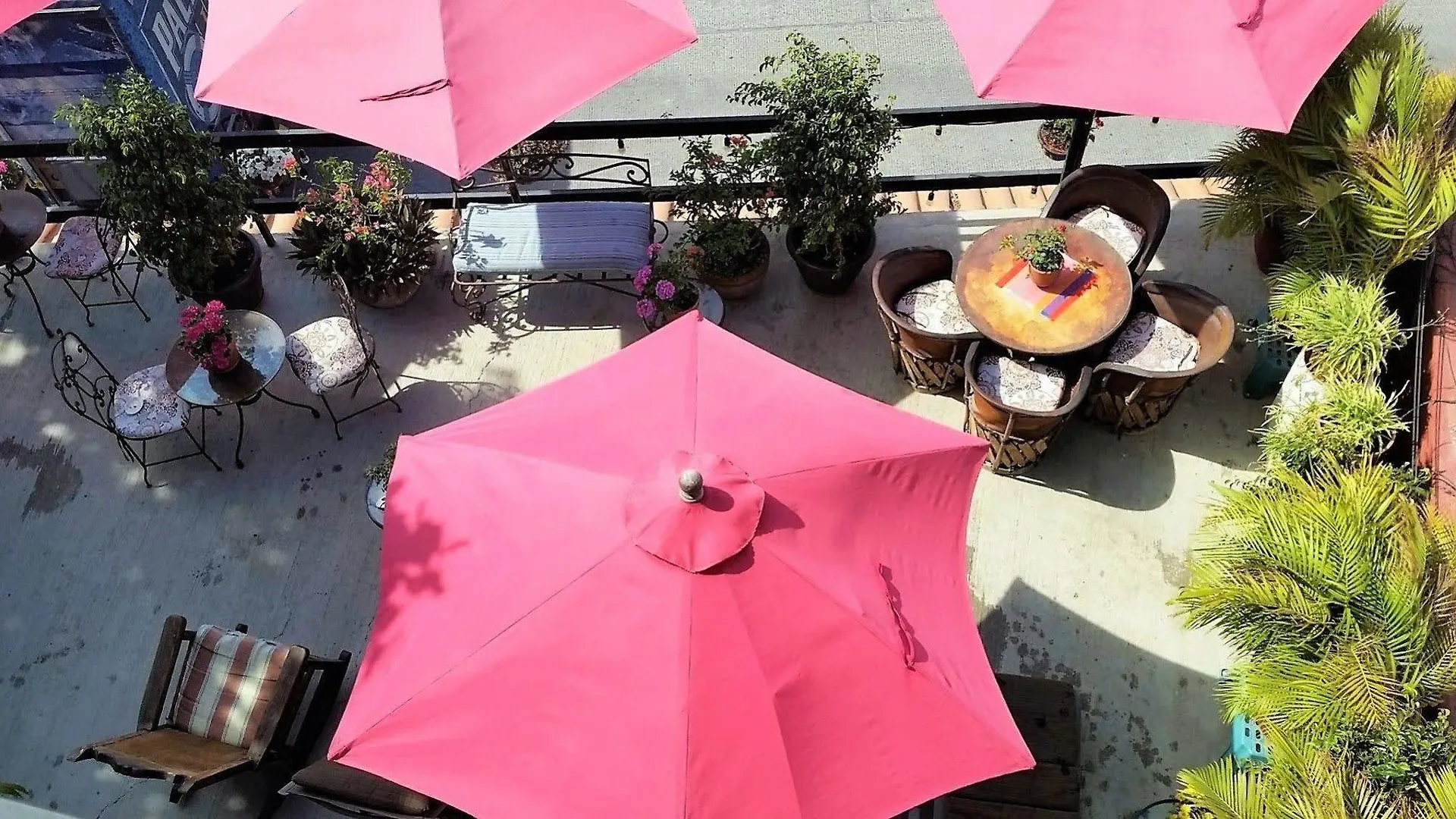 Siesta Suites Boutique Hotel Cabo San Lucas